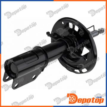 Amortisseur de suspension avant pour RENAULT | A-RE-029, 543020008R